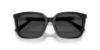 Picture of Swarovski Sunglasses SK6053D