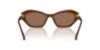 Picture of Swarovski Sunglasses SK6048F