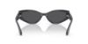 Picture of Swarovski Sunglasses SK6045U