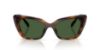 Picture of Swarovski Sunglasses SK6047