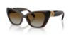 Picture of Swarovski Sunglasses SK6047