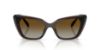 Picture of Swarovski Sunglasses SK6047