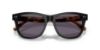Picture of Ralph Lauren Sunglasses RL8239U