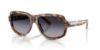 Picture of Ralph Lauren Sunglasses RL8238U
