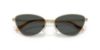 Picture of Ralph Lauren Sunglasses RL7093