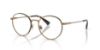 Picture of Polo Eyeglasses PH1241
