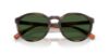Picture of Polo Sunglasses PH4232U