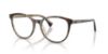 Picture of Ralph Eyeglasses RA7188U