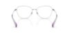 Picture of Ralph Eyeglasses RA6063