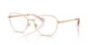 Picture of Ralph Eyeglasses RA6063