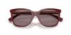 Picture of Ralph Sunglasses RA5343U