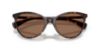 Picture of Ralph Sunglasses RA5339U