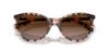 Picture of Ralph Sunglasses RA5339U