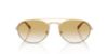 Picture of Emporio Armani Sunglasses EA2171