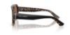 Picture of Dolce & Gabbana Sunglasses DG4516