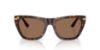 Picture of Dolce & Gabbana Sunglasses DG4511