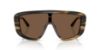Picture of Dolce & Gabbana Sunglasses DG4520