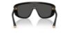 Picture of Dolce & Gabbana Sunglasses DG4520