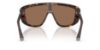 Picture of Dolce & Gabbana Sunglasses DG4520