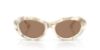Picture of Dolce & Gabbana Sunglasses DG4519