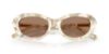 Picture of Dolce & Gabbana Sunglasses DG4519