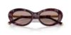 Picture of Dolce & Gabbana Sunglasses DG4519