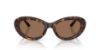 Picture of Dolce & Gabbana Sunglasses DG4519