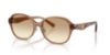 Picture of Coach Sunglasses HC8445D