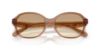 Picture of Coach Sunglasses HC8445D