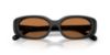 Picture of Coach Sunglasses HC8443D