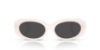 Picture of Coach Sunglasses HC8443D