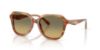 Picture of Coach Sunglasses HC8437U