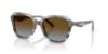 Picture of Coach Sunglasses HC8437U