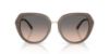 Picture of Coach Sunglasses HC8436