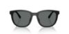 Picture of Coach Sunglasses HC8442U