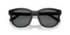 Picture of Coach Sunglasses HC8442U