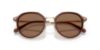 Picture of Coach Sunglasses HC7183