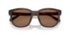 Picture of Coach Sunglasses HC8442U