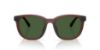 Picture of Coach Sunglasses HC8442U