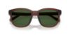 Picture of Coach Sunglasses HC8442U