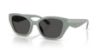 Picture of Coach Sunglasses HC8434U