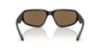 Picture of Arnette Sunglasses AN4365