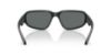 Picture of Arnette Sunglasses AN4365