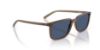 Picture of Arnette Sunglasses AN4364