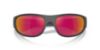 Picture of Arnette Sunglasses AN4361