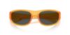 Picture of Arnette Sunglasses AN4361