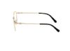 Picture of Harley Davidson Eyeglasses HD50118