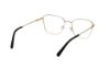 Picture of Harley Davidson Eyeglasses HD50118