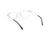 Picture of Gant Eyeglasses GA50068