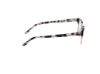 Picture of Hollister Eyeglasses HL50034